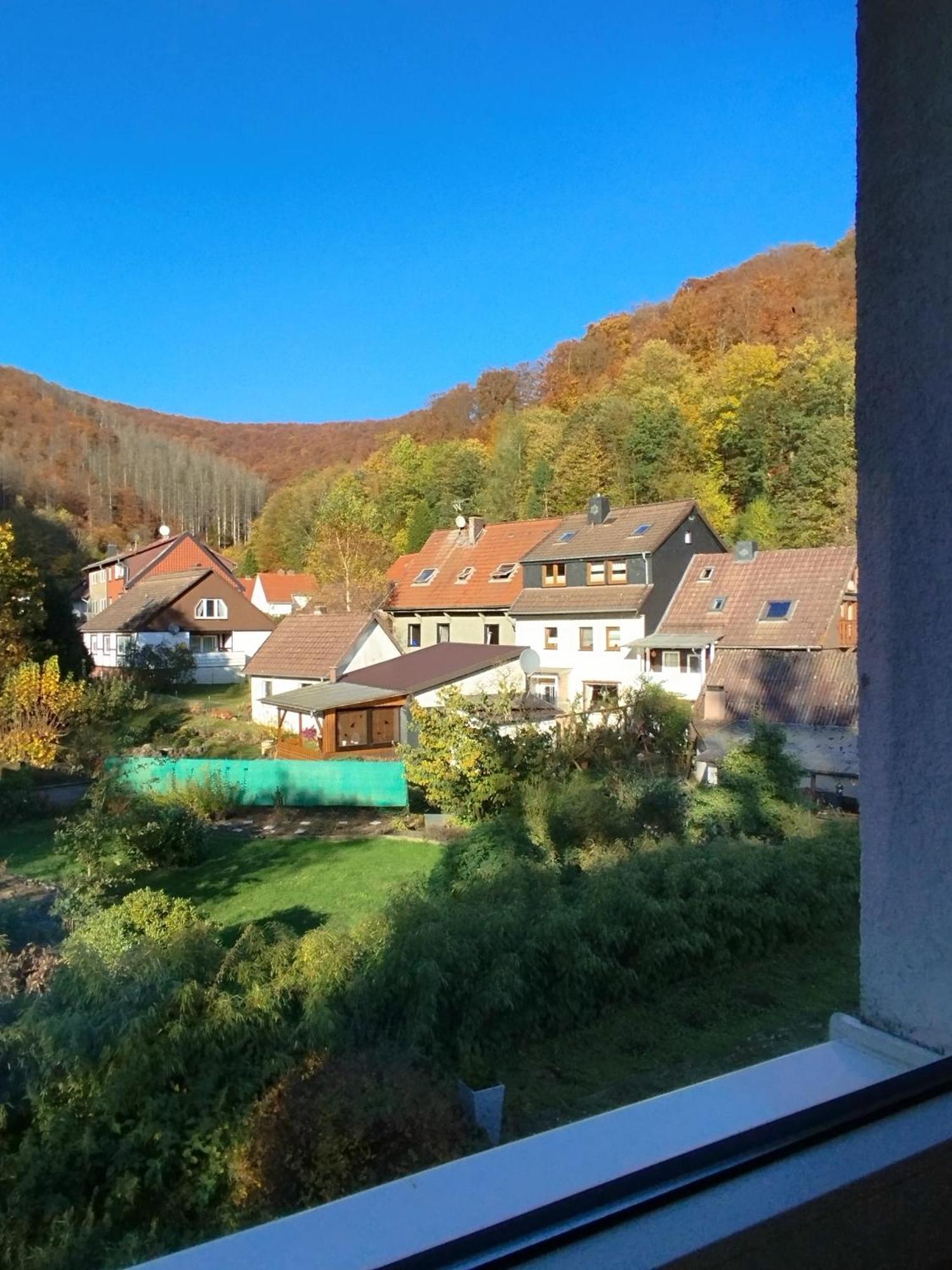 Am Berg Hotel-Restaurant ヘルツベルク・アム・ハルツ エクステリア 写真